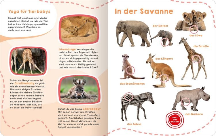 Produktbild: Mein gro&szlig;es Ger&auml;uschebuch &ndash; Tierbabys