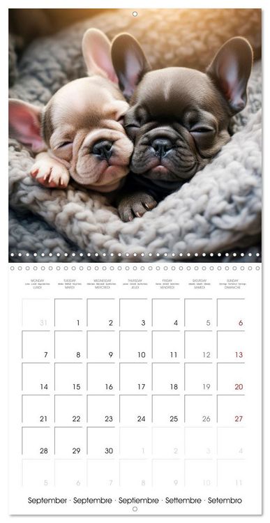 Produktbild: Cute PUPPY PERSONALITIES (Wall Calendar 2026 12 &times; 12 Inch) CALVENDO 12 Month Wall Calendar