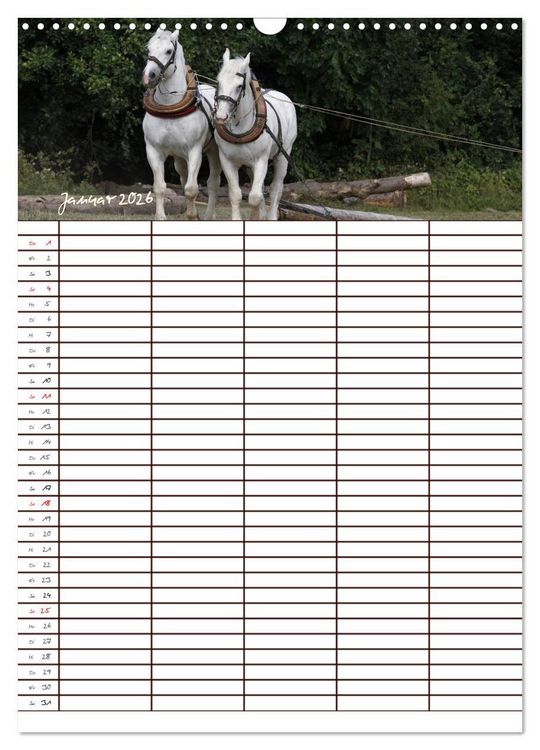 Produktbild: Der Kaltblut-Familienplaner (Wandkalender 2026 DIN A3 hoch), CALVENDO Monatskalender