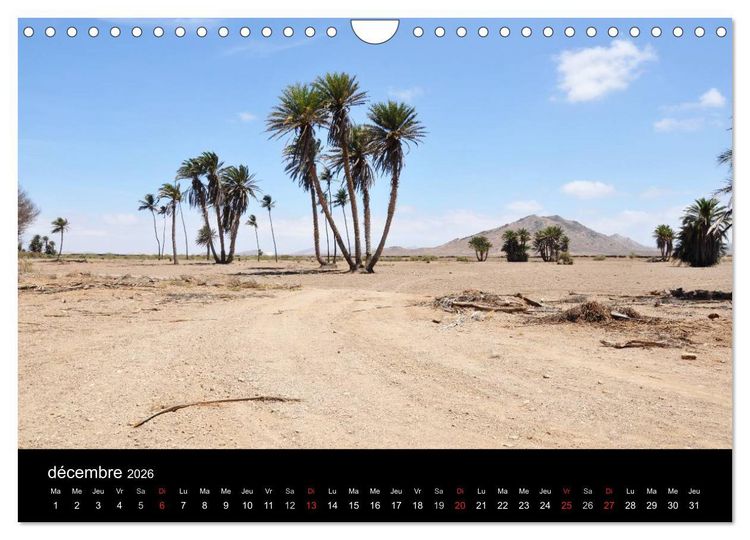 Produktbild: Voyage au Cap-Vert, Boa Vista (Calendrier mural 2026 DIN A4 vertical), CALVENDO calendrier mensuel