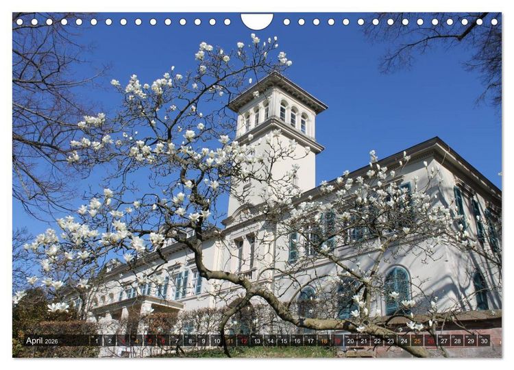 Produktbild: Burgen & Schl&ouml;sser im Odenwald (Wandkalender 2026 DIN A4 quer), CALVENDO Monatskalender