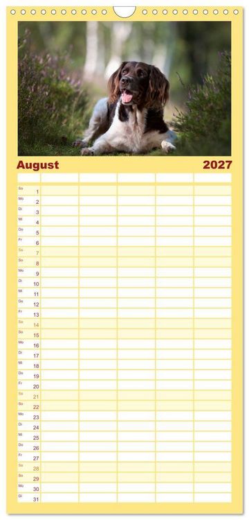 Produktbild: Familienplaner 2027 - Passion Jagdhund - Kleiner M&uuml;nsterl&auml;nder mit 5 Spalten (Wandkalender, 21 x 45 cm) CALVENDO
