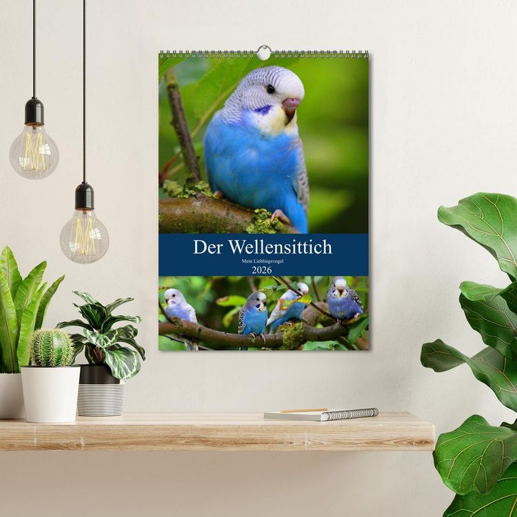 Produktbild: Der Wellensittich - Mein Lieblingsvogel (Wandkalender 2026 DIN A3 hoch), CALVENDO Monatskalender