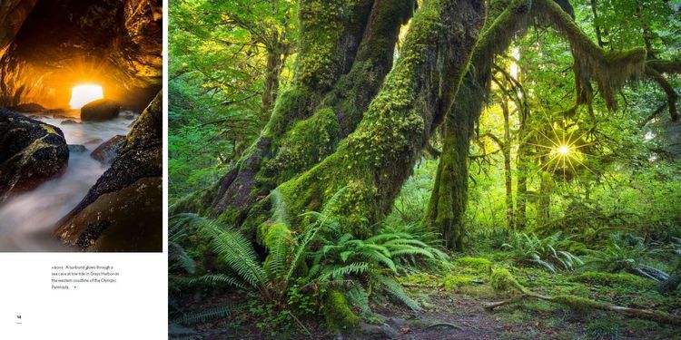 Produktbild: Washington, Evergreen