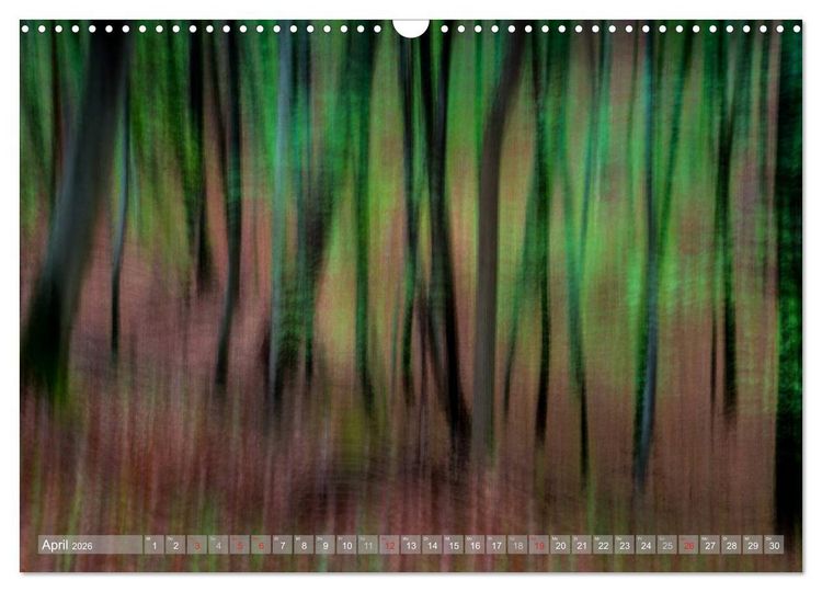 Produktbild: Atelier Wald - gemalt mit Licht (Wandkalender 2026 DIN A3 quer), CALVENDO Monatskalender