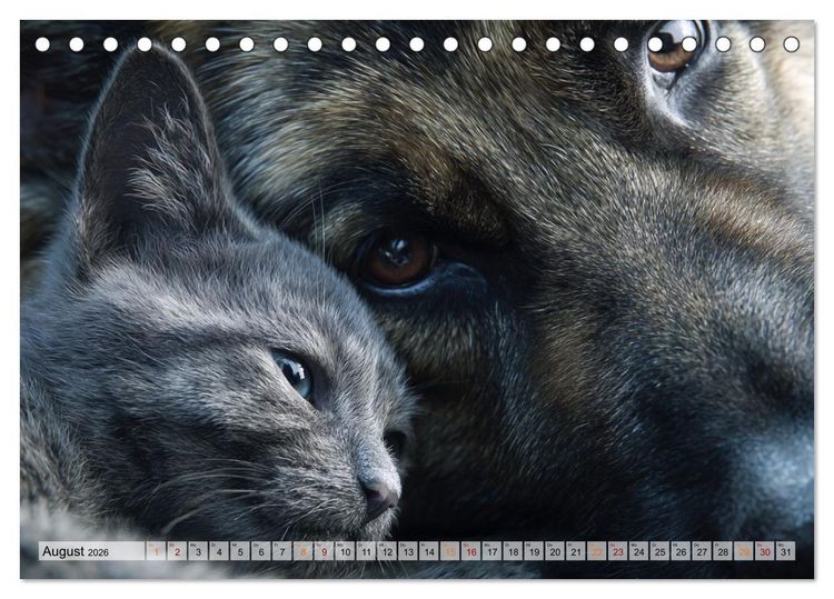 Produktbild: Hund und Katze - Tierische Freunde (Tischkalender 2026 DIN A5 quer), CALVENDO Monatskalender