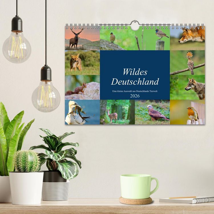 Produktbild: Wildes Deutschland (Wandkalender 2026 DIN A4 quer), CALVENDO Monatskalender
