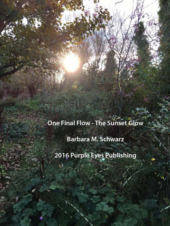Produktbild: One Final Flow - The Sunset Glow