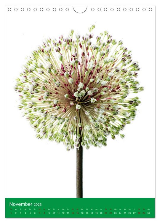 Produktbild: Nat&uuml;rlich Blumen. (Wandkalender 2026 DIN A4 hoch), CALVENDO Monatskalender