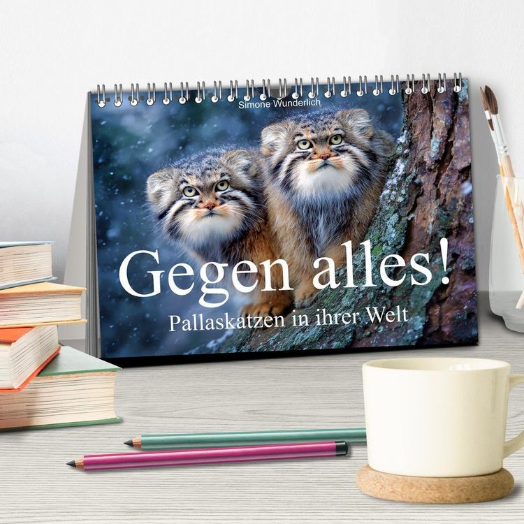 Produktbild: Gegen alles! - Pallaskatzen in ihrer Welt (Tischkalender 2027 DIN A5 quer), CALVENDO Monatskalender