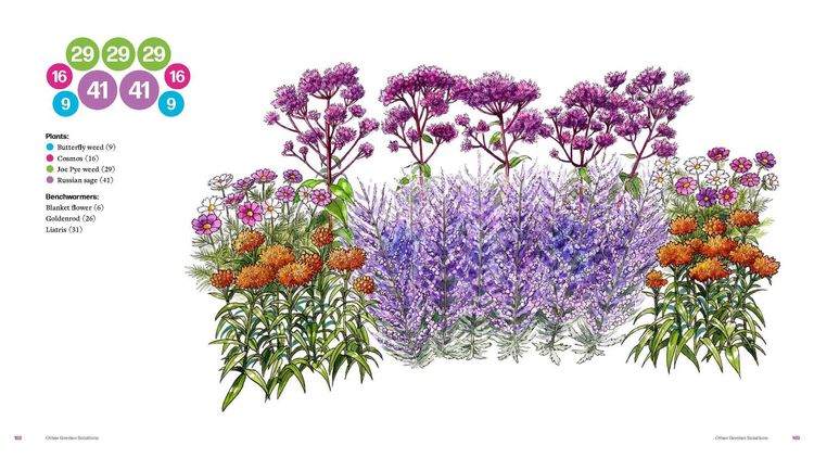 Produktbild: Plant by Number