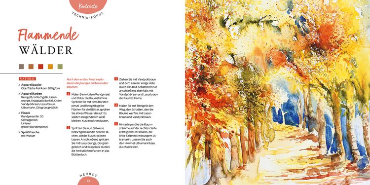 Produktbild: Die Struktur der Natur