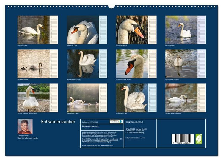 Produktbild: Schwanenzauber (hochwertiger Premium Wandkalender 2026 DIN A2 quer), Kunstdruck in Hochglanz
