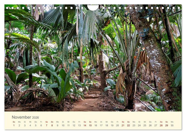 Produktbild: Traumhafte Seychellen (Wandkalender 2026 DIN A4 quer), CALVENDO Monatskalender