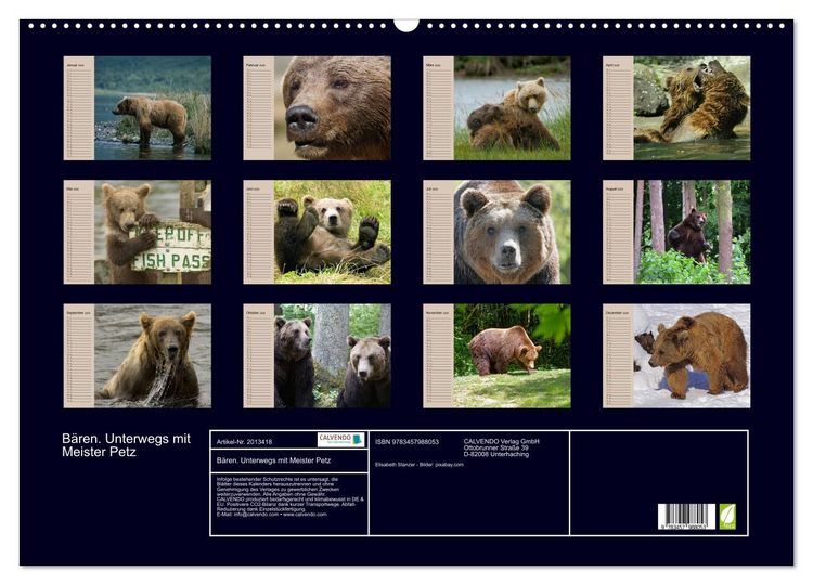 Produktbild: B&auml;ren. Unterwegs mit Meister Petz (Wandkalender 2026 DIN A2 quer), CALVENDO Monatskalender