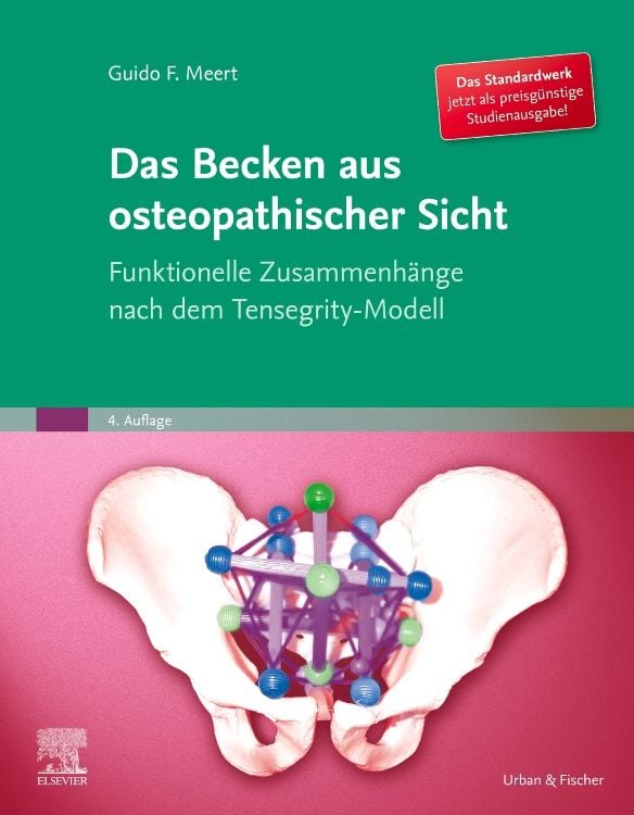 Produktbild: Das Becken aus osteopathischer Sicht
