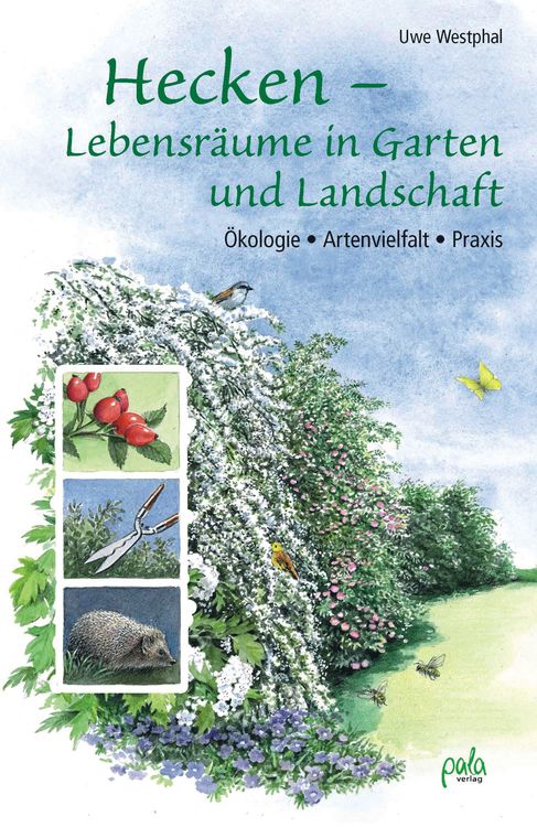 Produktbild: Hecken - Lebensr&auml;ume in Garten und Landschaft