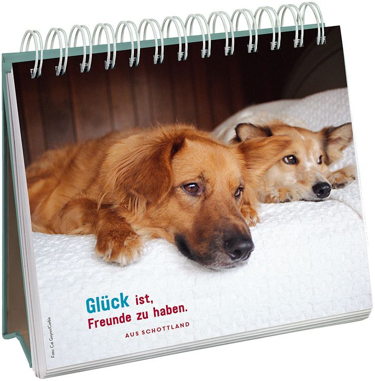 Produktbild: F&uuml;r Hundefreunde