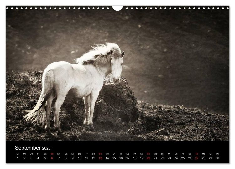 Produktbild: Island - Insel aus Feuer und Eis (Wandkalender 2026 DIN A3 quer), CALVENDO Monatskalender