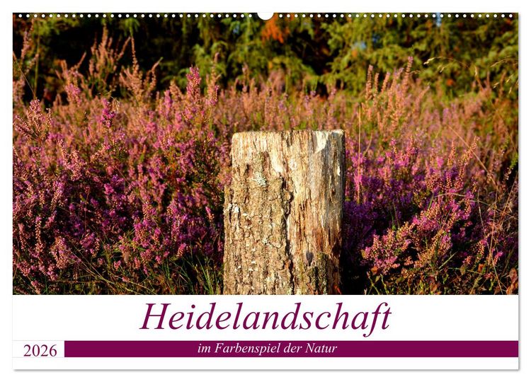Produktbild: Heidelandschaft im Farbenspiel der Natur (Wandkalender 2026 DIN A2 quer), CALVENDO Monatskalender
