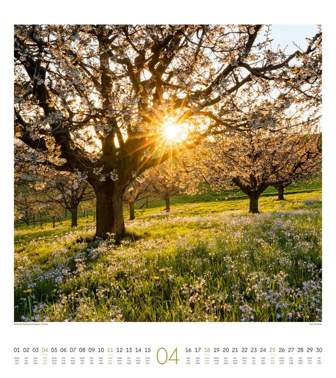 Produktbild: Lichtblicke Kalender 2027