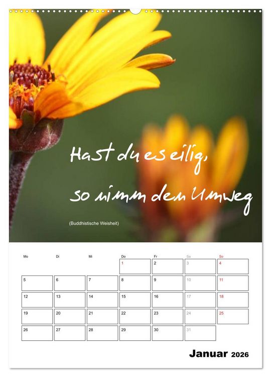 Produktbild: Spr&uuml;che und Weisheiten f&uuml;r&acute; s Jahr (hochwertiger Premium Wandkalender 2026 DIN A2 hoch), Kunstdruck in Hochglanz
