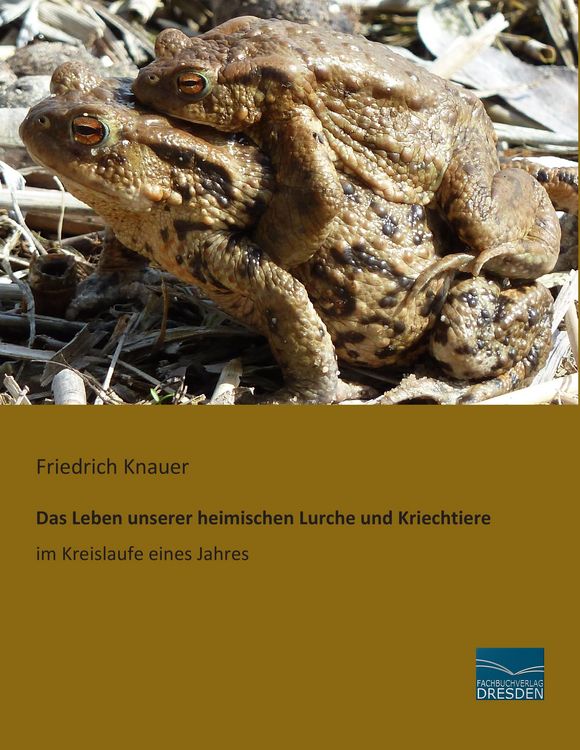 Produktbild: Das Leben unserer heimischen Lurche und Kriechtiere im Kreislaufe eines Jahres