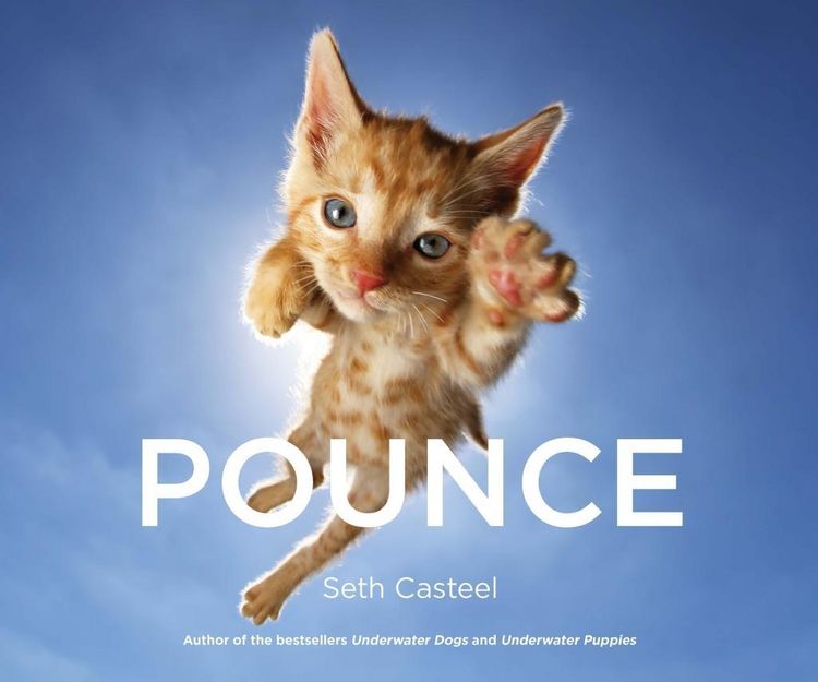Produktbild: Pounce