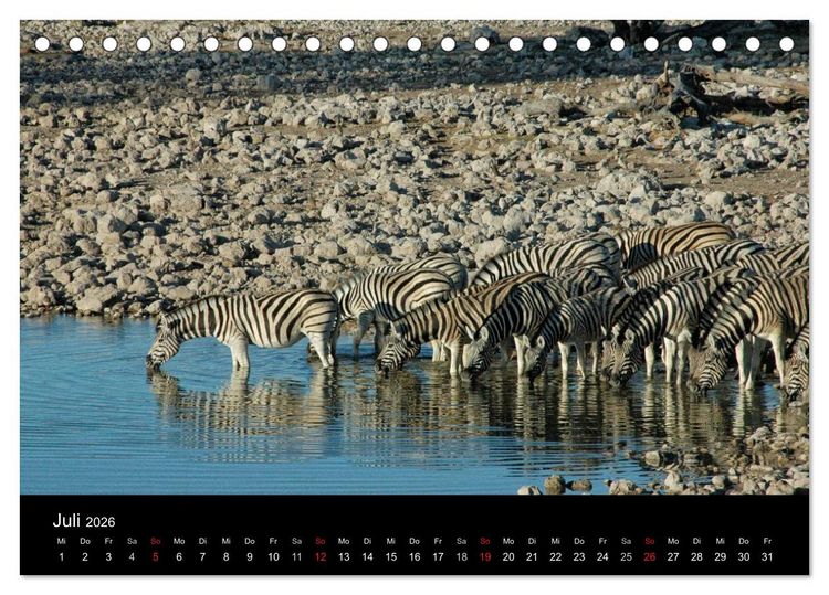 Produktbild: Afrika (Tischkalender 2026 DIN A5 quer), CALVENDO Monatskalender