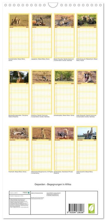 Produktbild: Familienplaner 2027 - Geparden - Begegnungen in Afrika mit 5 Spalten (Wandkalender, 21 x 45 cm) CALVENDO