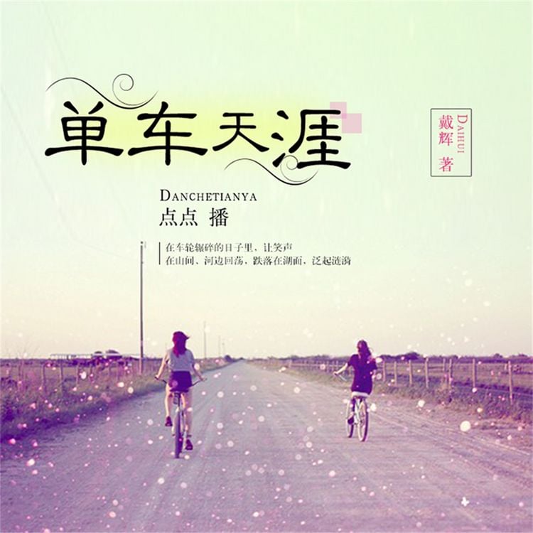 Produktbild: 单车天涯