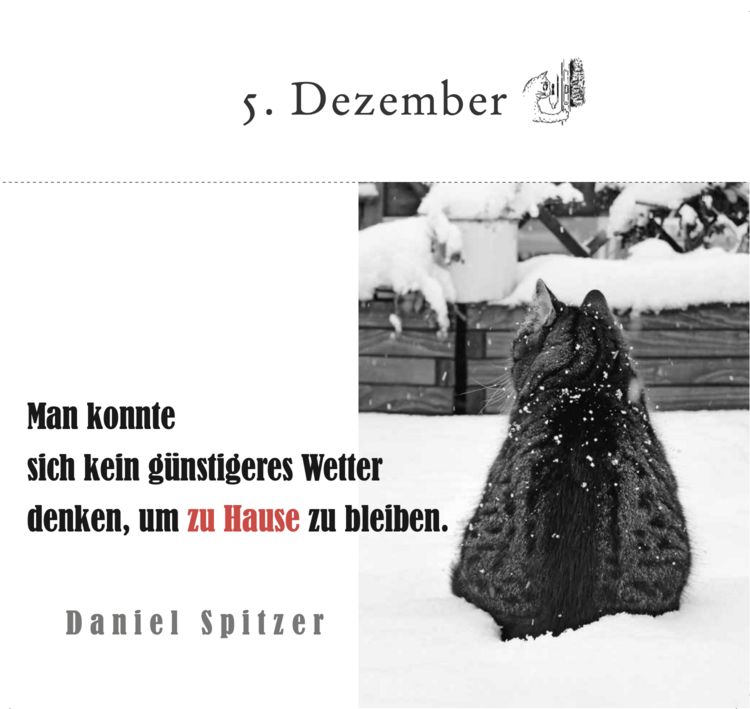Produktbild: Der literarische Katzen-Adventskalender