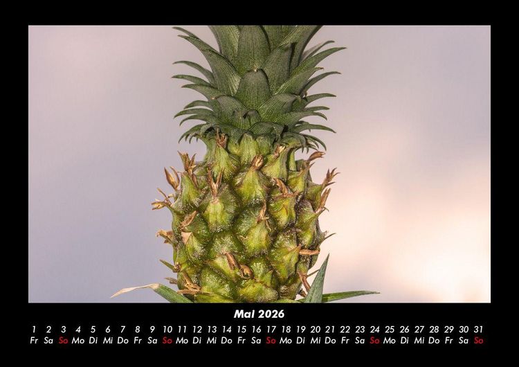 Produktbild: Obstkalender 2026 Fotokalender DIN A3