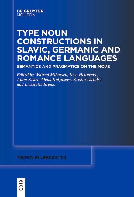 Produktbild: Type Noun Constructions in Slavic, Germanic and Romance Languages