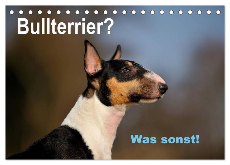 Produktbild: Bullterrier? Was sonst! (Tischkalender 2026 DIN A5 quer), CALVENDO Monatskalender