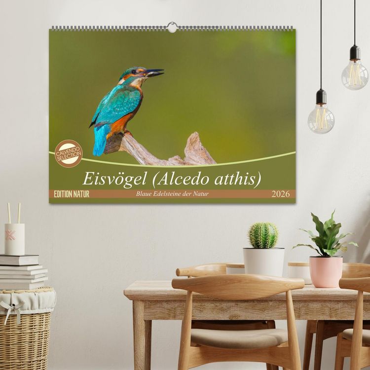 Produktbild: Eisv&ouml;gel (Alcedo atthis) - Edelsteine der Natur (Wandkalender 2026 DIN A2 quer), CALVENDO Monatskalender