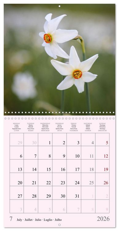 Produktbild: Les saisons en fleurs (Calendrier mural carr&eacute; 2026 30x30 cm) Calendrier double avec une page pour vos prises de notes