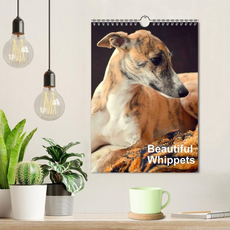 Produktbild: Beautiful Whippets (Wall Calendar 2026 DIN A4 portrait), CALVENDO 12 Month Wall Calendar