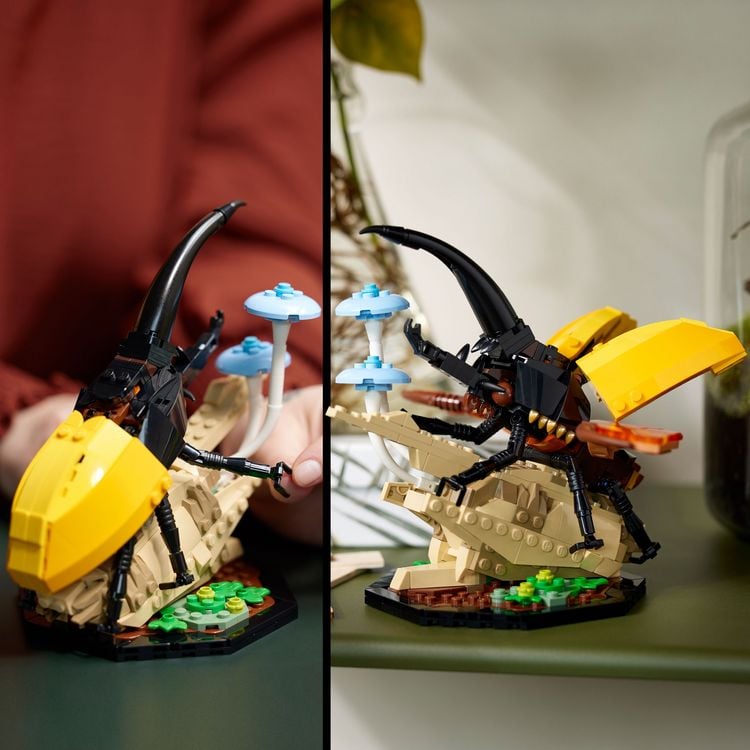 Produktbild: LEGO Ideas 21342 Die Insektensammlung, 3 Insekten-Modelle mit Schmetterling