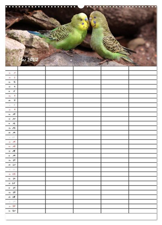Produktbild: Wellensittiche (Wandkalender 2027 DIN A2 hoch), CALVENDO Monatskalender