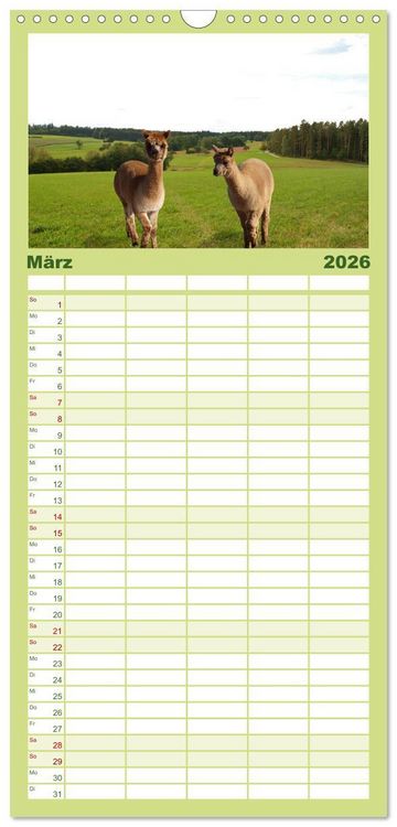 Produktbild: Familienplaner 2026 - Alpakas zum Verlieben mit 5 Spalten (Wandkalender, 21 x 45 cm) CALVENDO
