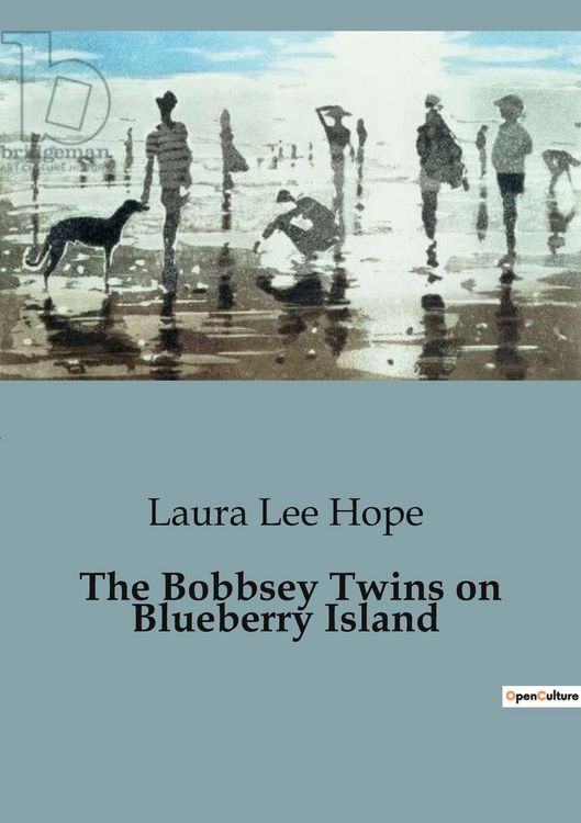 Produktbild: The Bobbsey Twins on Blueberry Island