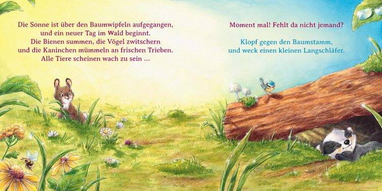 Produktbild: Wer ist hier ein Frechdachs?