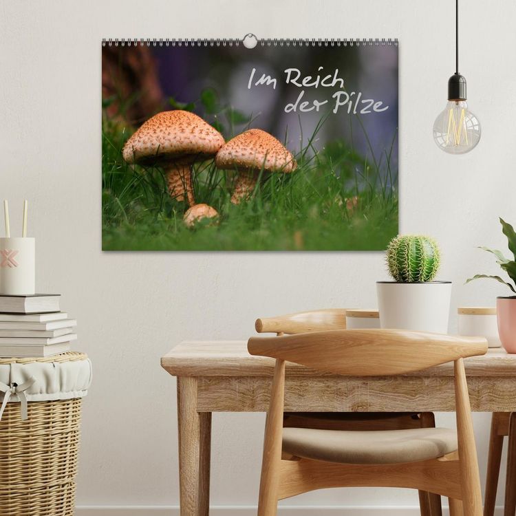 Produktbild: Im Reich der Pilze (Wandkalender 2026 DIN A3 quer), CALVENDO Monatskalender