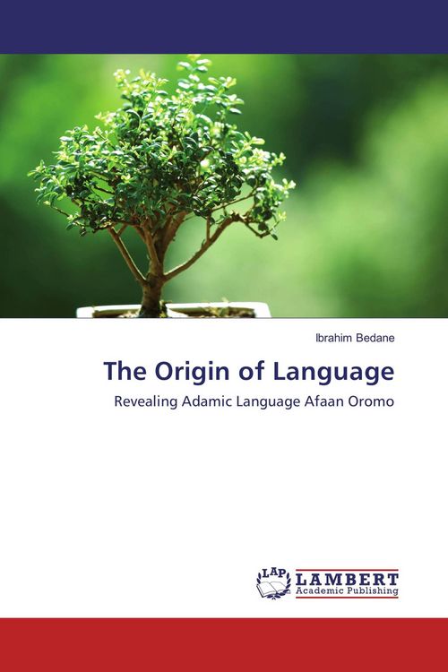 Produktbild: The Origin of Language