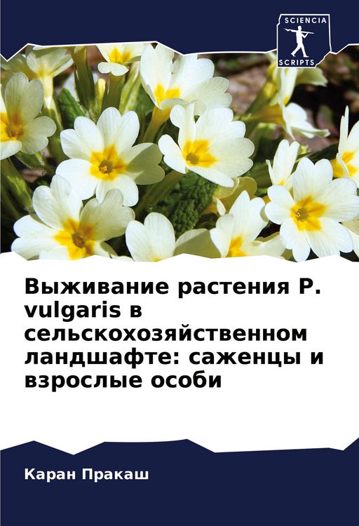 Produktbild: Vyzhiwanie rasteniq P. vulgaris w sel'skohozqjstwennom landshafte: sazhency i wzroslye osobi