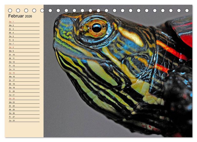 Produktbild: Reptilien. Schlangen, Echsen und Co. (Tischkalender 2026 DIN A5 quer), CALVENDO Monatskalender