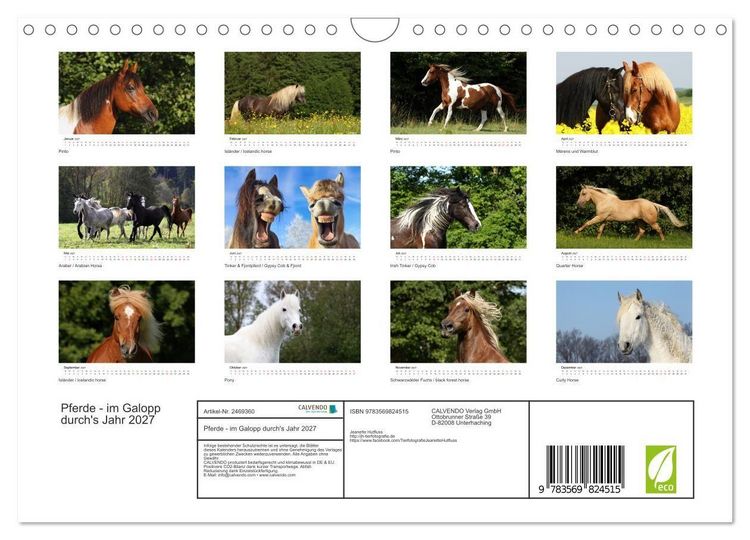 Produktbild: Pferde - im Galopp durch's Jahr 2027 (Wandkalender 2027 DIN A4 quer), CALVENDO Monatskalender