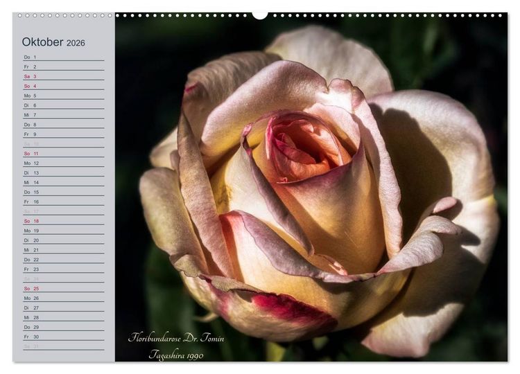 Produktbild: Kurf&uuml;rstliche Rosen Eltville am Rhein (hochwertiger Premium Wandkalender 2026 DIN A2 quer), Kunstdruck in Hochglanz