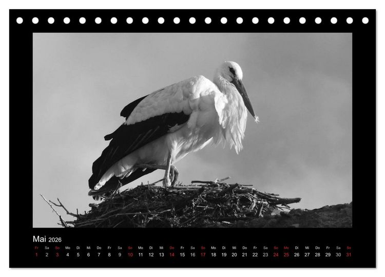 Produktbild: Marokko - Nostalgie in schwarz-weiss (Tischkalender 2026 DIN A5 quer), CALVENDO Monatskalender